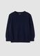 Blue pure wool long-sleeve jumper, regular fit_3