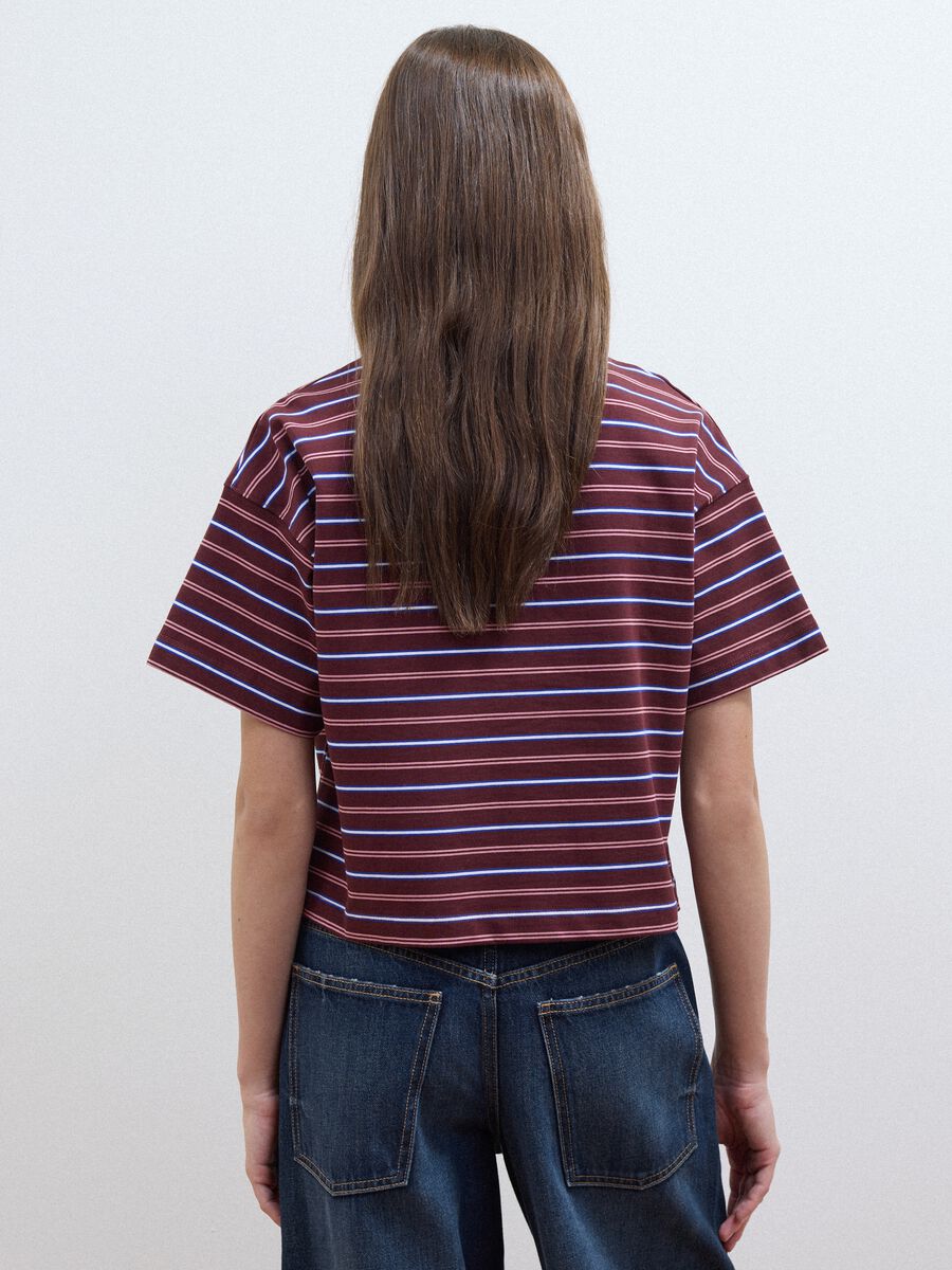 Multicolour striped pure cotton polo with oversized collar_3