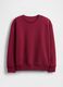 Red crewneck sweatshirt_4