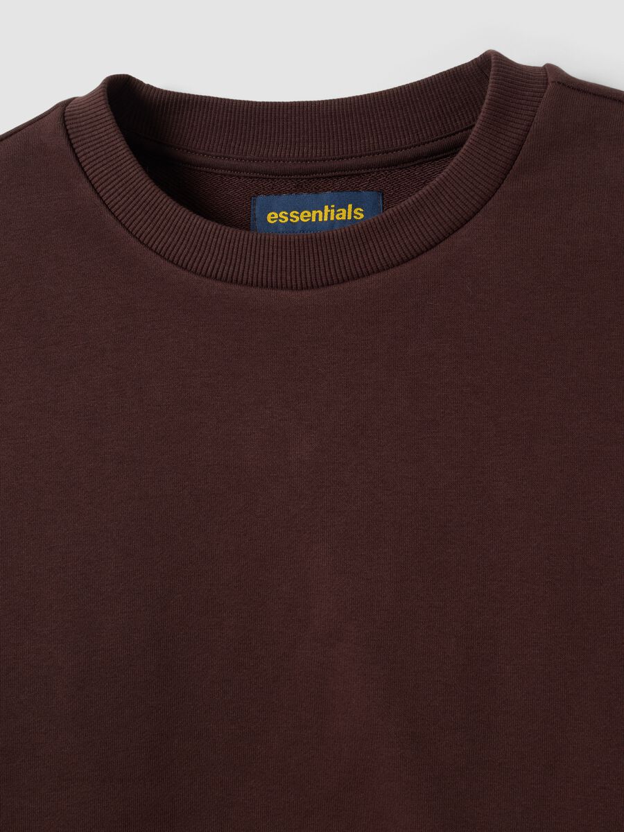 Brown cotton-blend crew-neck sweatshirt, regular fit_1
