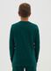 Boys' pure cotton green regular fit jumper_2