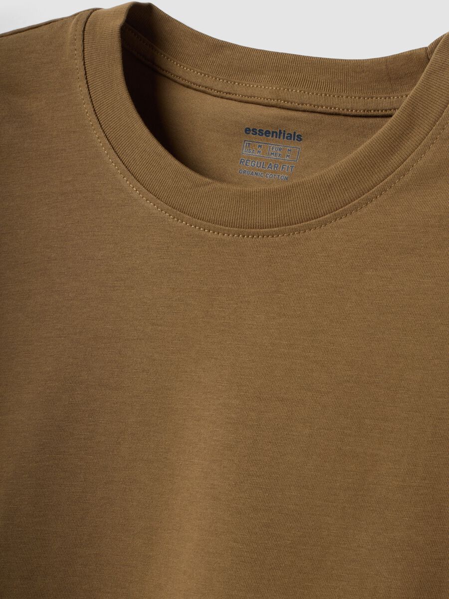 Brown pure organic cotton jersey T-shirt, regular fit_6
