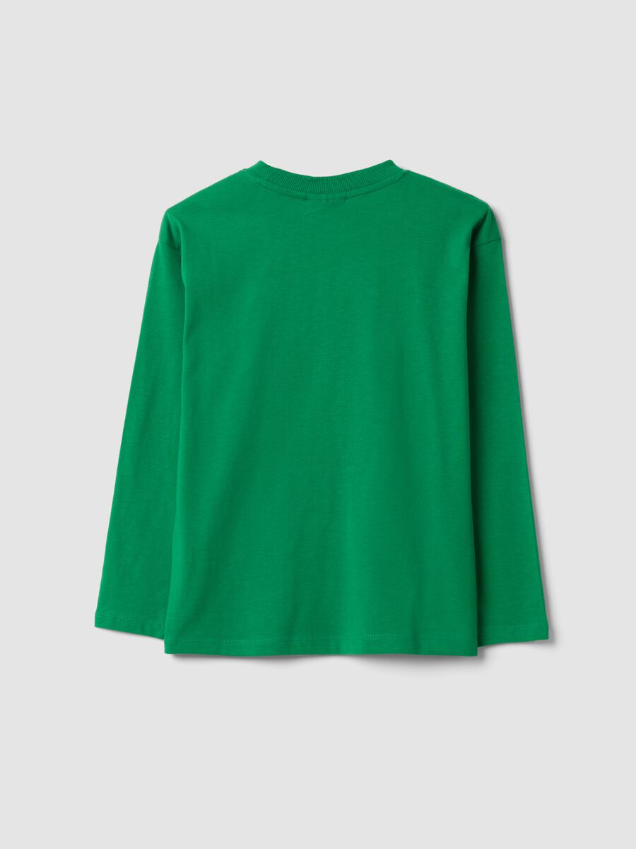 Green pure cotton Celtics print T-shirt, relaxed fit_1