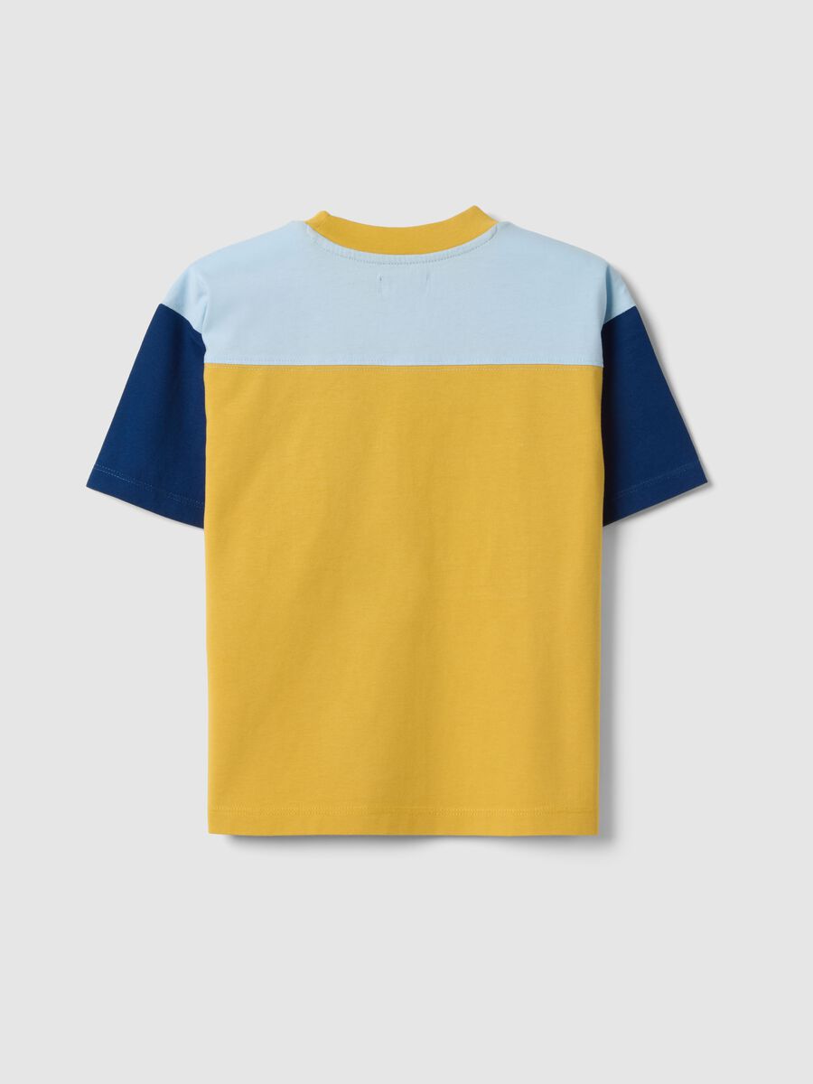 Multicolour pure cotton children's t-shirt regular fit with number 23_4