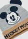 Grey marl hat with Mickey & Friends design_2