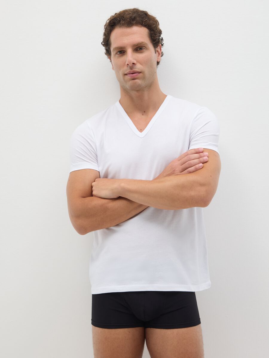 Two-Pack Men's White Pure Cotton Regular Fit T-Shirts_0