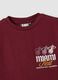 Red pure cotton Miami Heat print T-shirt for boys_5