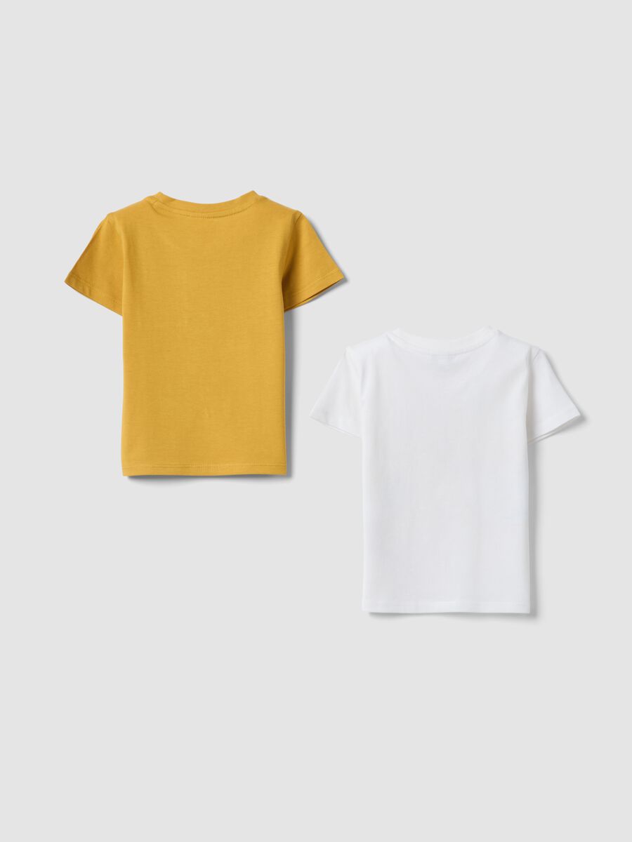 2-pack boys&rsquo; pure cotton multicolour regular-fit T-shirts_1