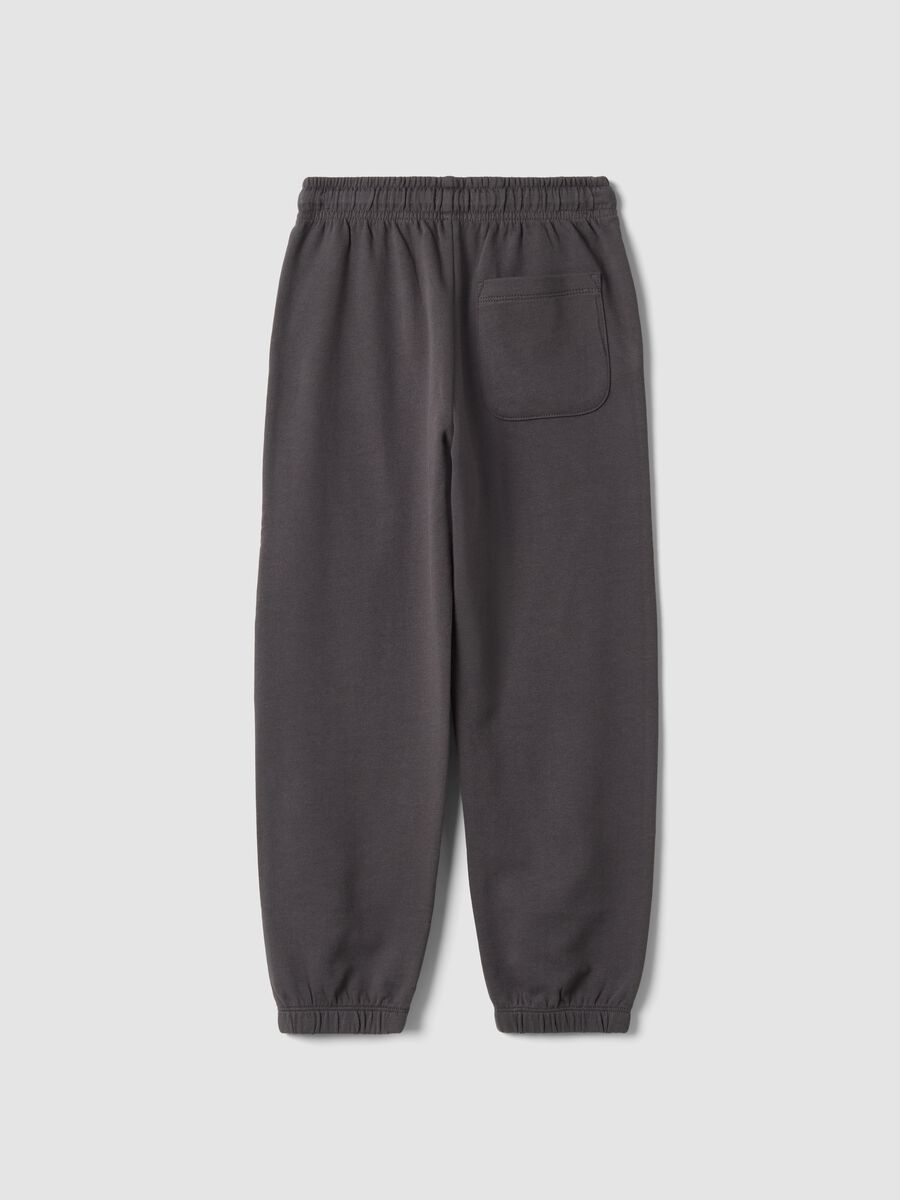Grey pure cotton joggers with sporty print_1