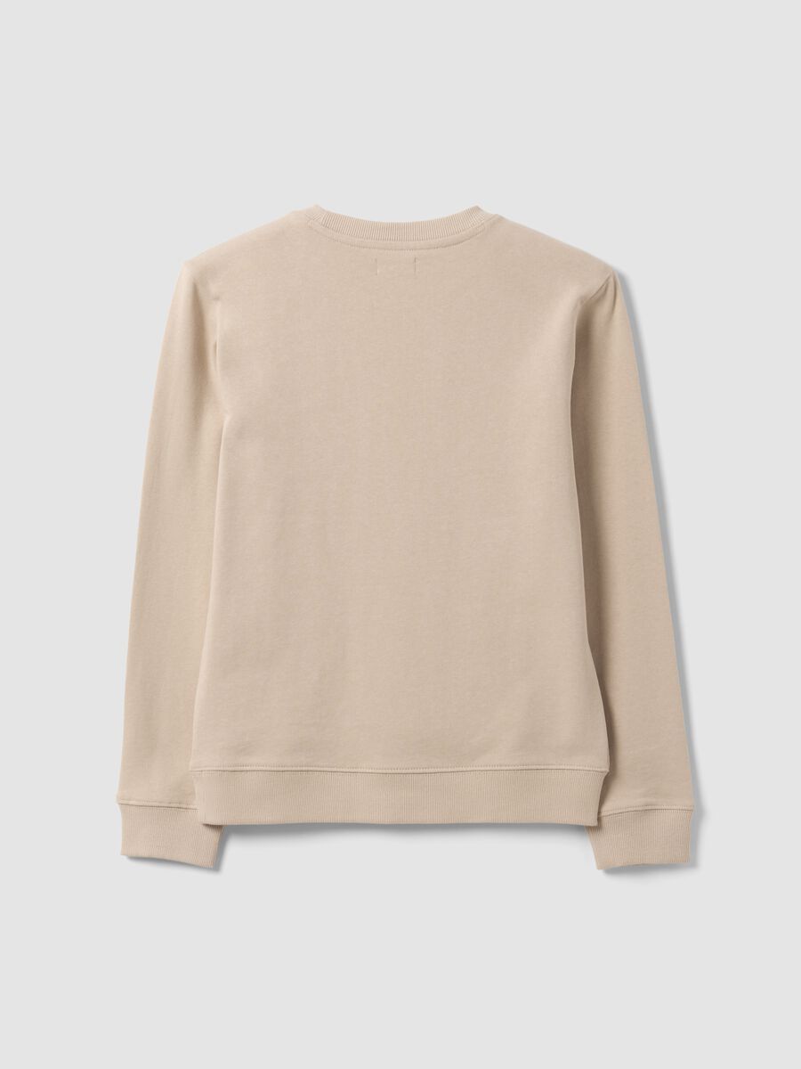 Beige pure organic cotton crew-neck sweatshirt with print for boys_4