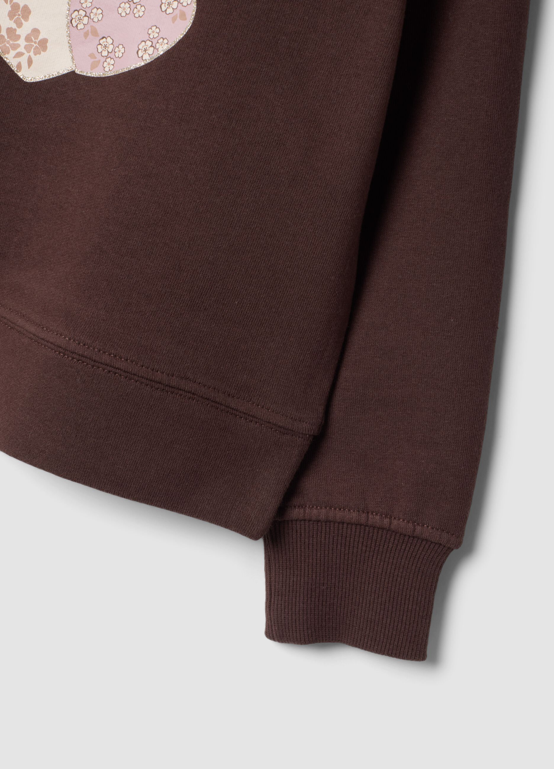 Brown 100% cotton sweatshirt with front print