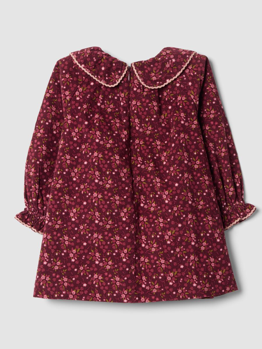 Burgundy red floral pure cotton crew-neck dress, regular fit_1