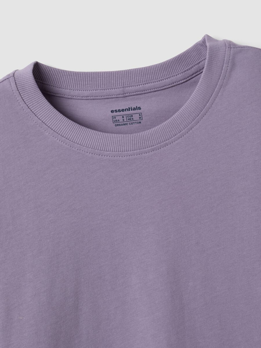 Purple crew-neck T-shirt in pure organic cotton, regular fit_5