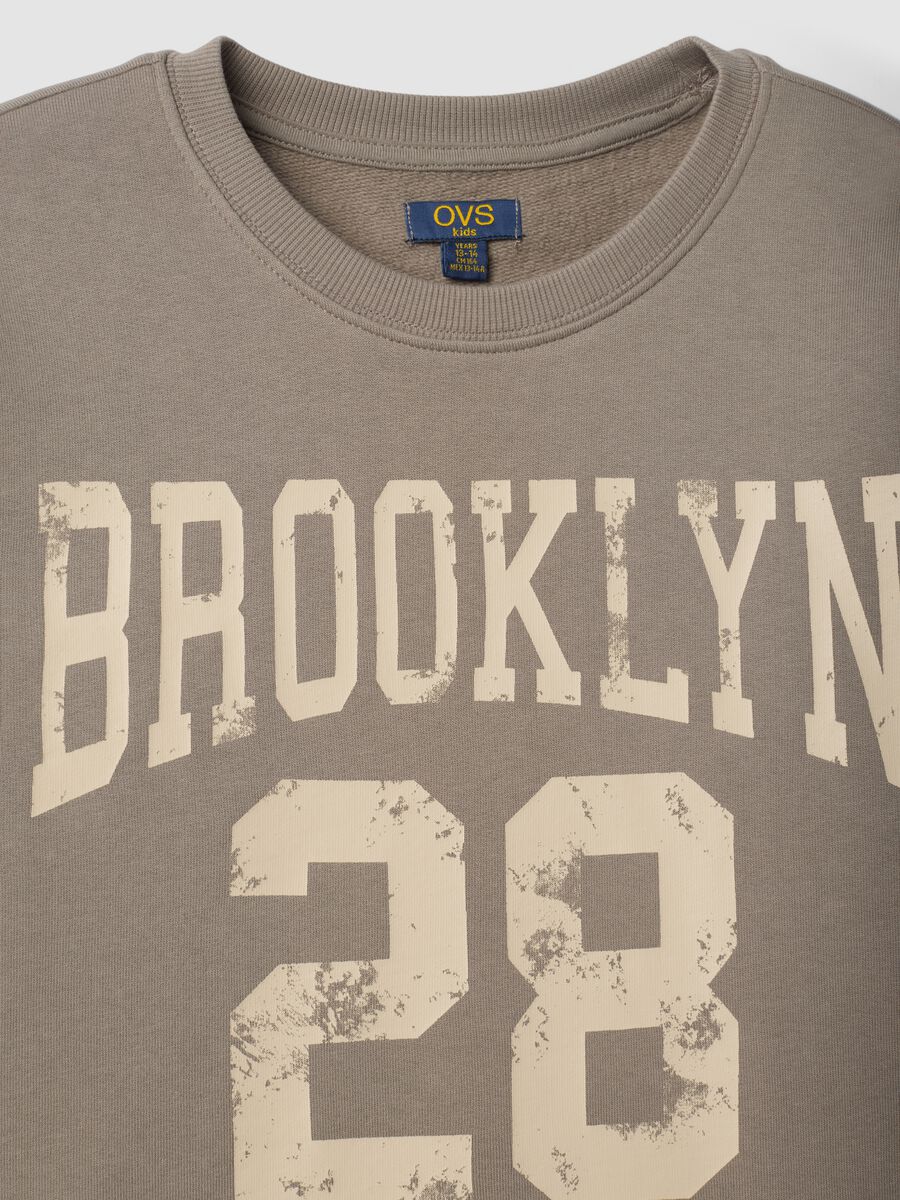 Grey crew-neck sweatshirt in 100% organic cotton_2
