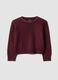 Purple crew-neck jumper with rhinestone details, regular fit_0