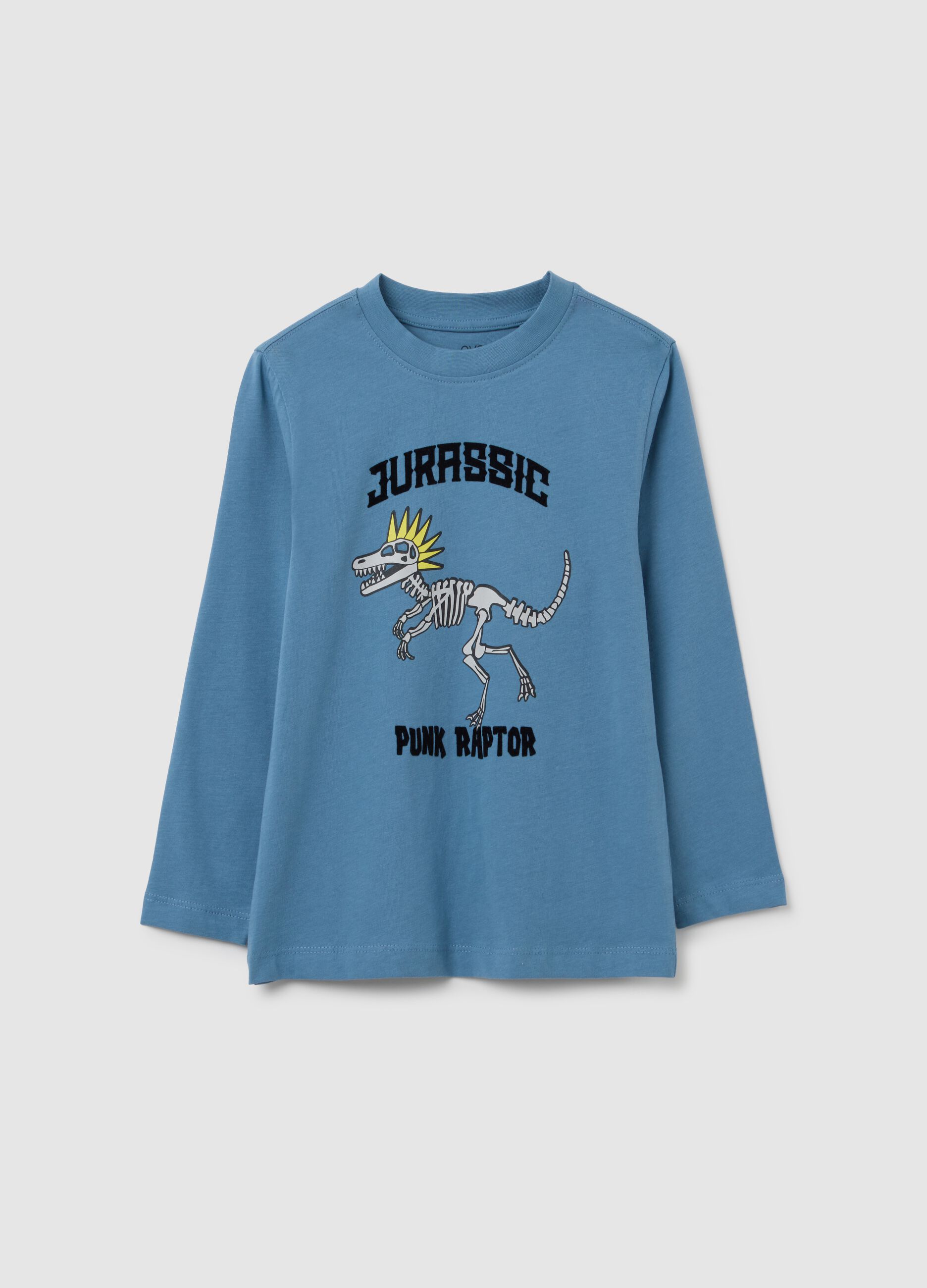 Children's blue cotton T-shirt, regular fit with print
