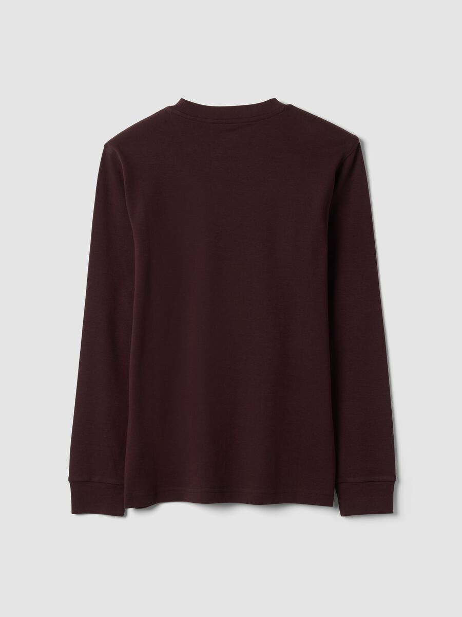 Brown pure cotton crew-neck T-shirt, regular fit_2