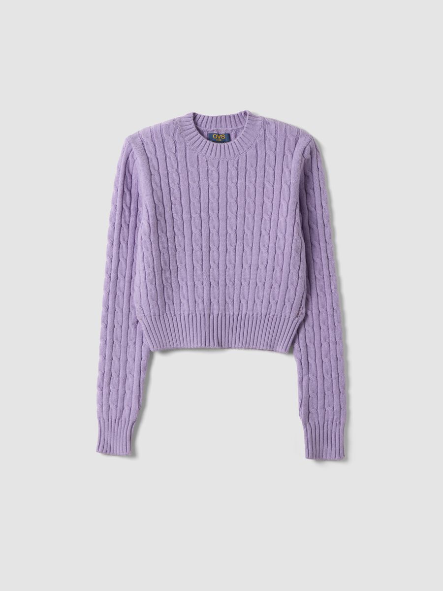Purple cable-knit crew-neck jumper, regular fit_0