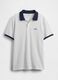 Striped Polo Shirt_3