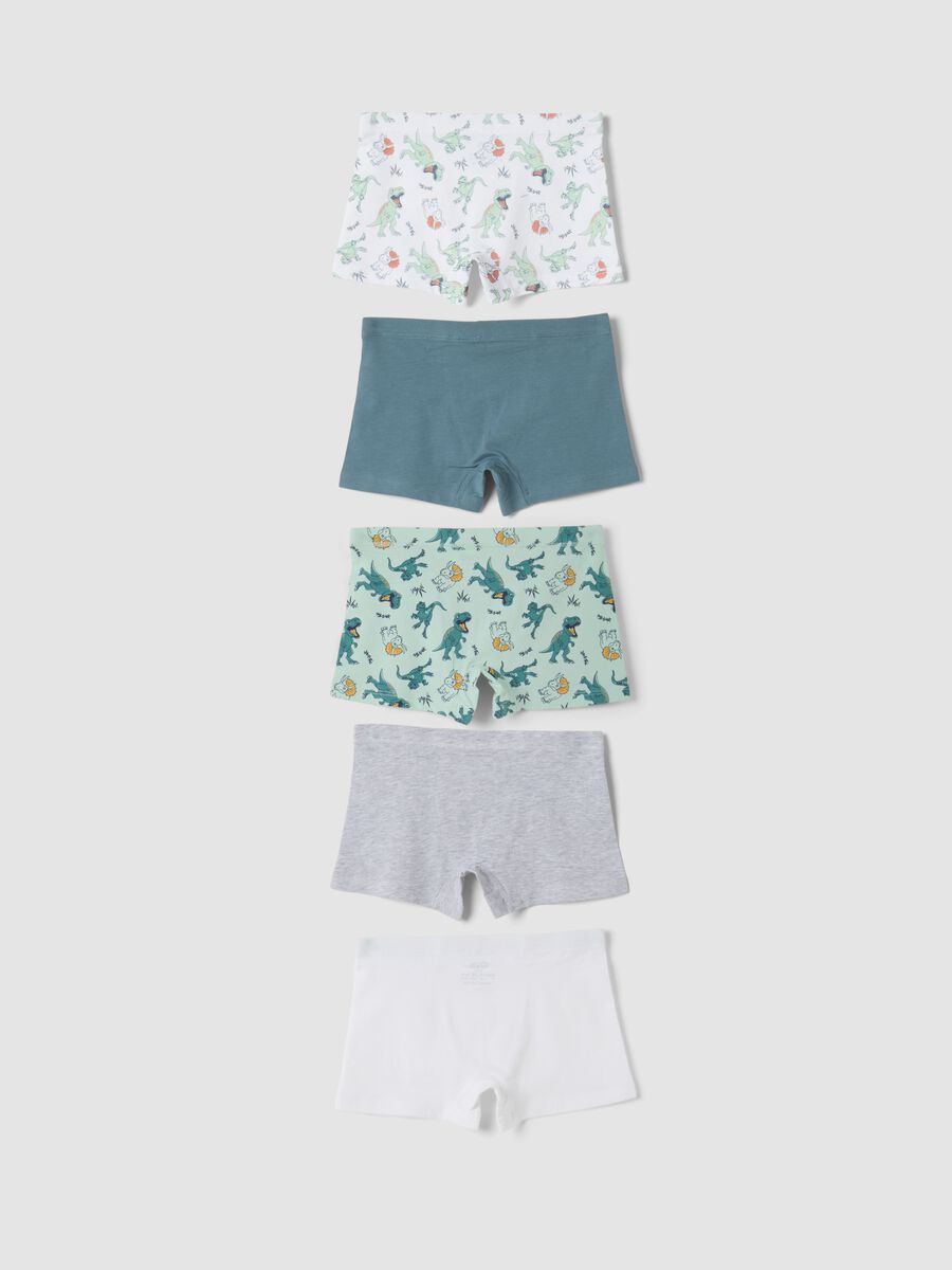 Five-pack of green and white stretch organic cotton boxers_1