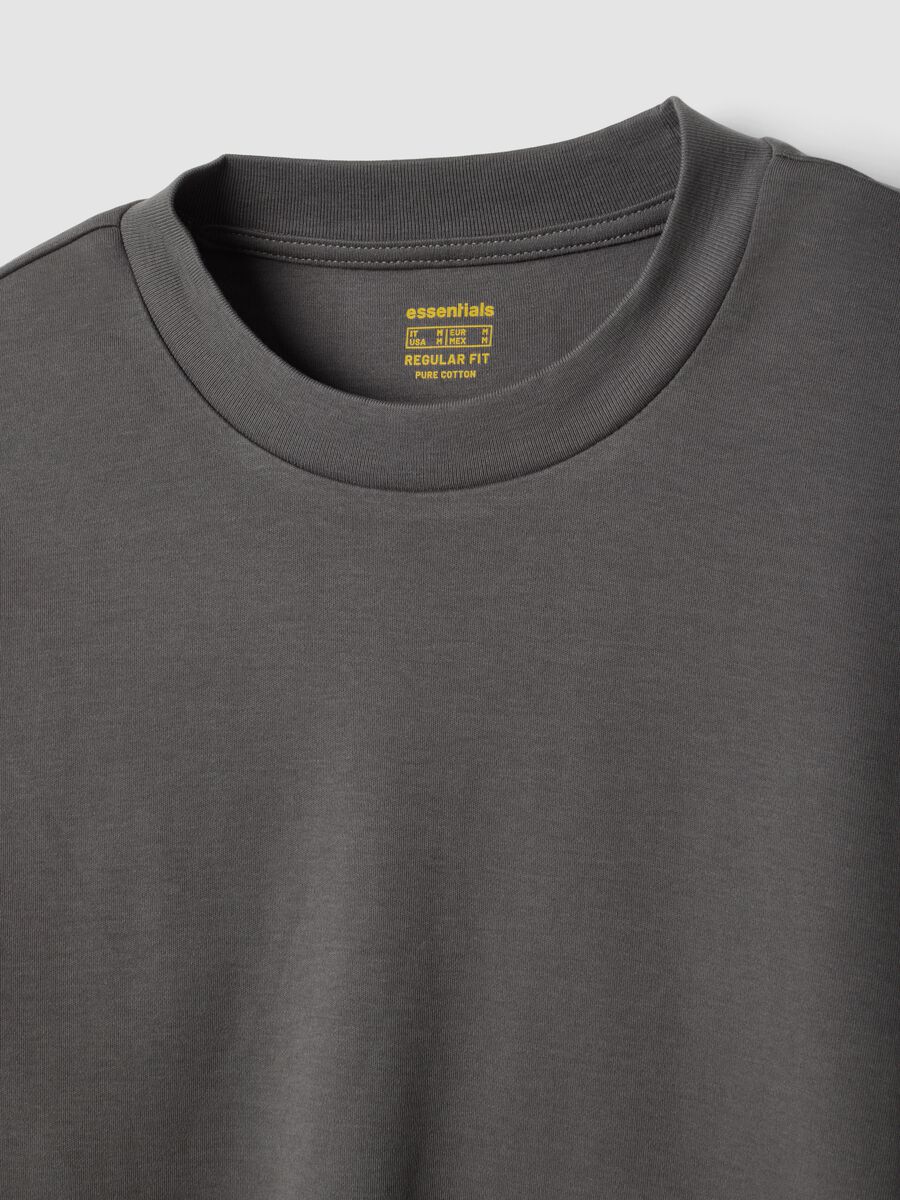 Grey pure cotton crew-neck T-shirt, regular fit_1