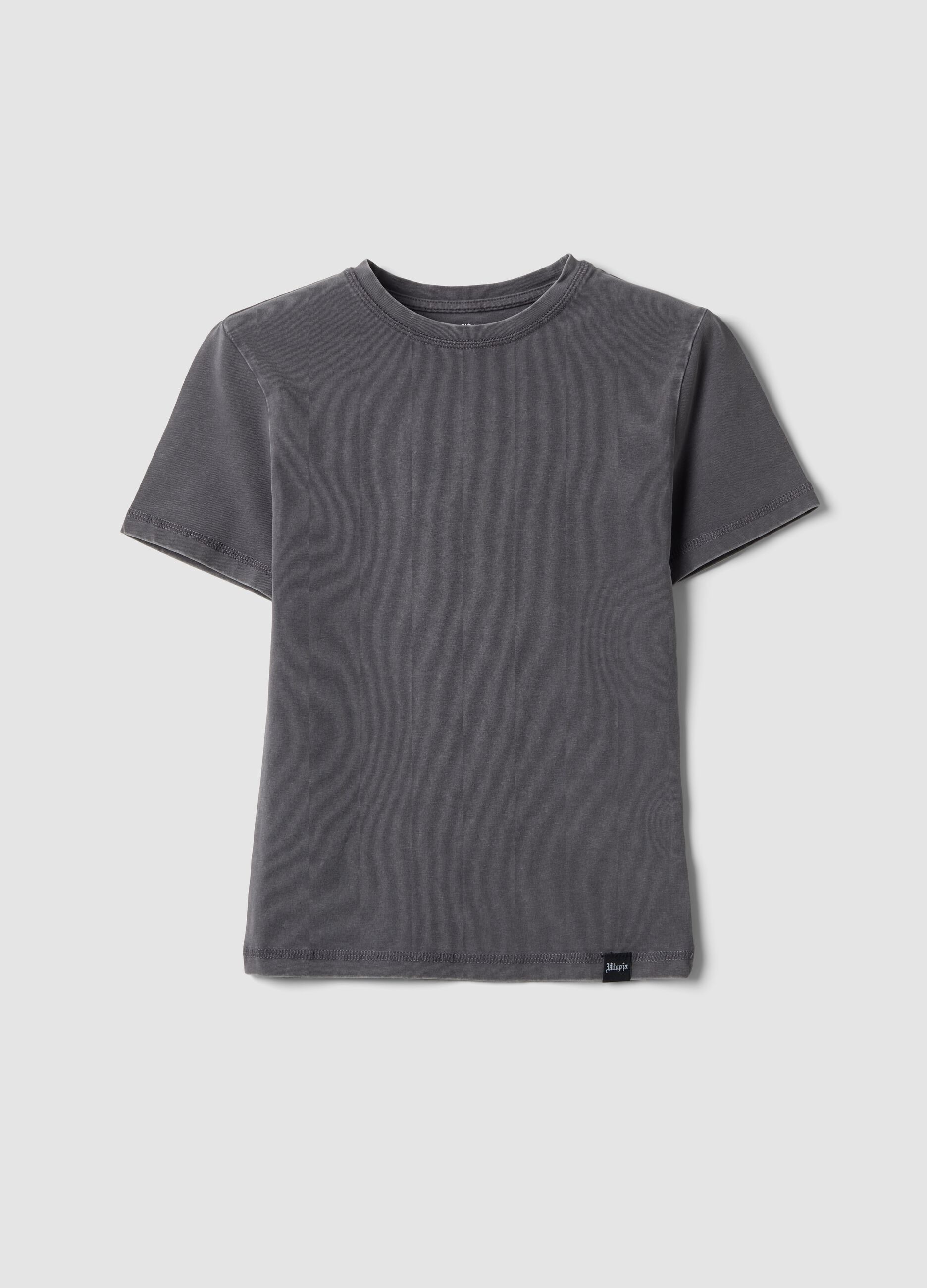 Perfect T-shirt Washed Grey