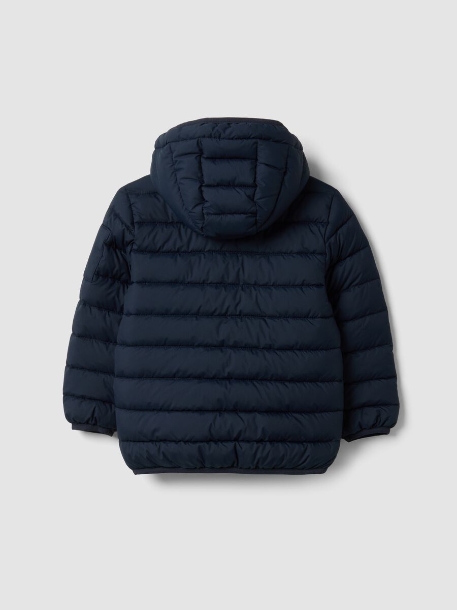 Blue Ultralight padded hooded jacket with zip for boys_1