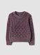 Plum purple crew-neck cable-knit jumper, regular fit_0