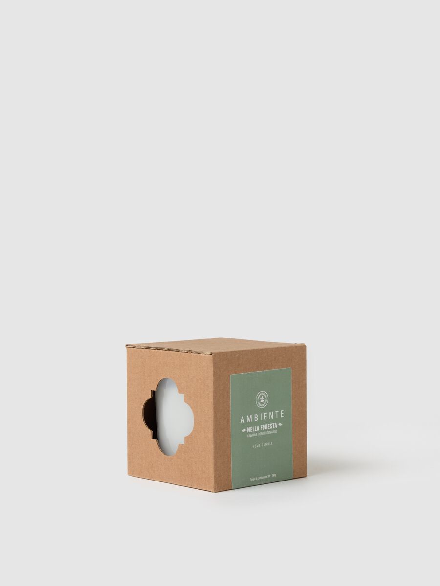 Ambient Candle "In the Forest"_2