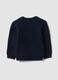 Blue crew-neck cable-knit jumper_1