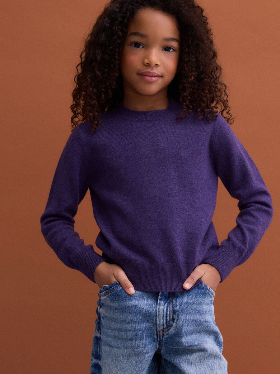 Purple pure wool long-sleeve jumper, regular fit_0