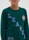 Boys' pure cotton green regular fit jumper_1