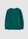 Maglia verde in pura lana a maniche lunghe regular fit_2