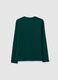 Boys' pure cotton green regular fit jumper_4