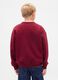 Red crewneck sweatshirt_1