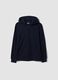 Blue hooded sweatshirt in pure organic cotton, regular fit for boys_0