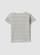 Boys&rsquo; pure cotton multicolour striped T-shirt with dog pocket_1