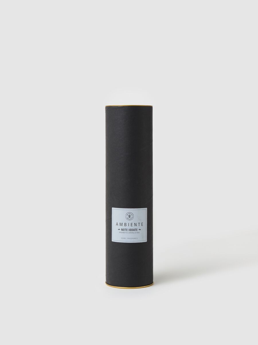 Room Diffuser "Iodine Notes"_0