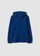 Blue boys&rsquo; organic cotton hoodie, regular fit_4