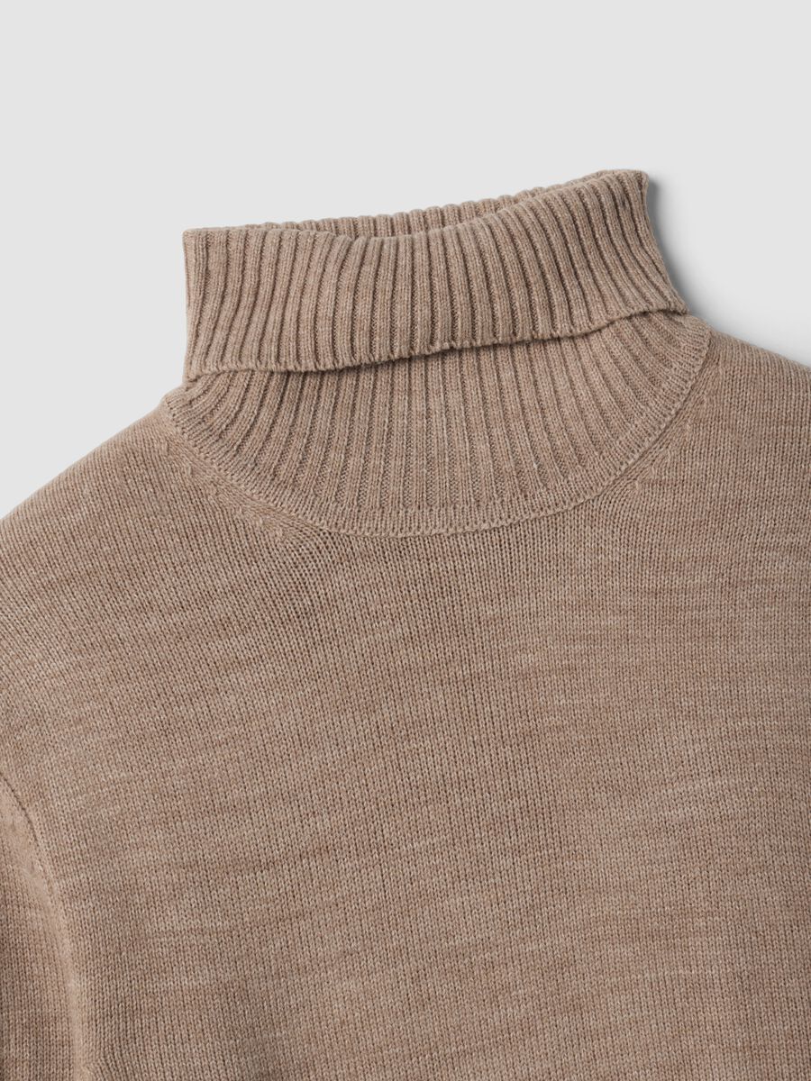 Beige regular-fit roll-neck jumper in jersey knit_1