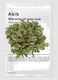 قناع ABIB الورقي Mild Acidic pH Jericho Rose Fit بحجم 30 مل &ndash; عناية كورية بالبشرة_0