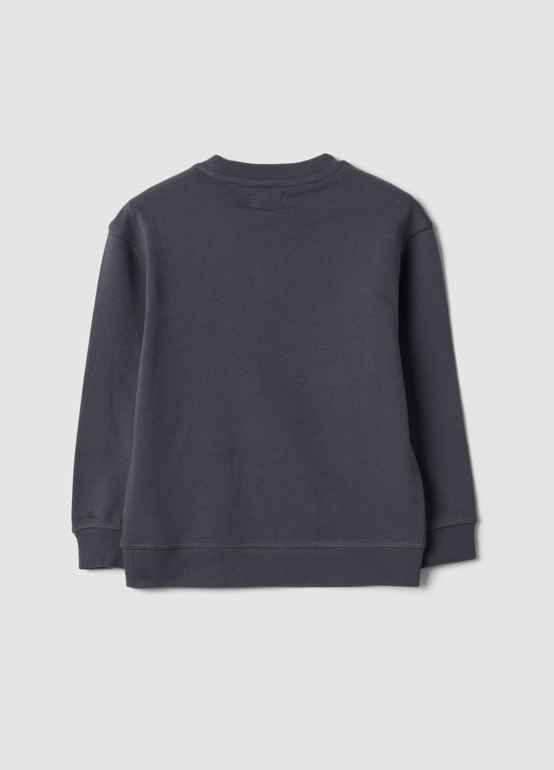 Grey crew-neck sweatshirt in pure organic cotton