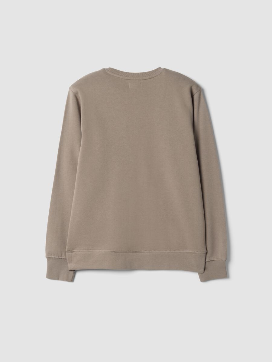 Grey crew-neck sweatshirt in 100% organic cotton_1