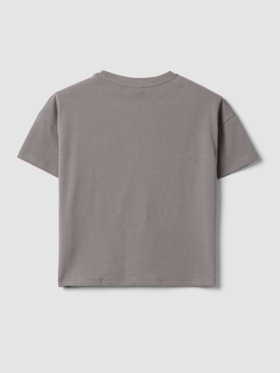 Girls&rsquo; grey stretch cotton T-shirt with capybara print_1