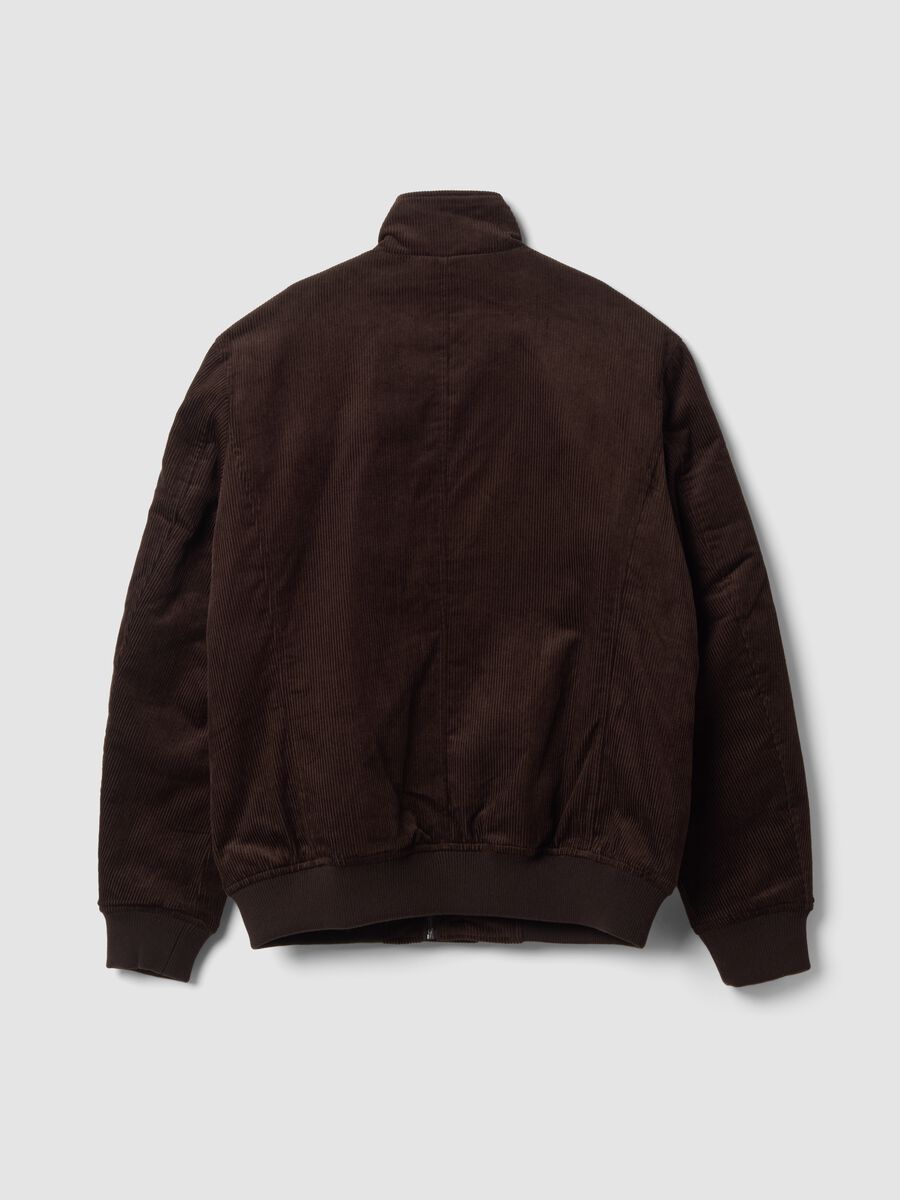 Brown padded pure cotton ribbed bomber jacket, regular fit_2