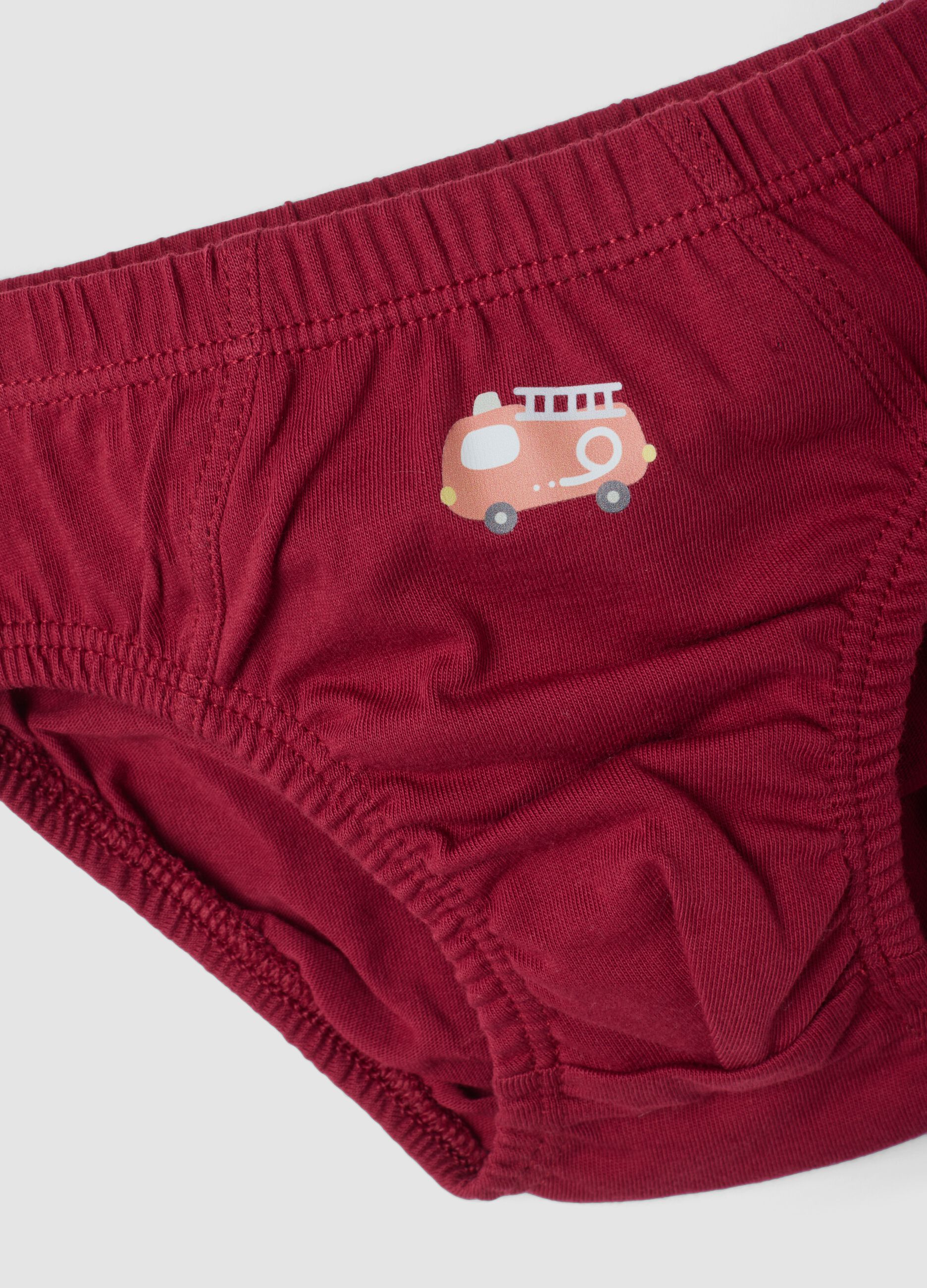 Pack of five multicoloured briefs in pure organic cotton