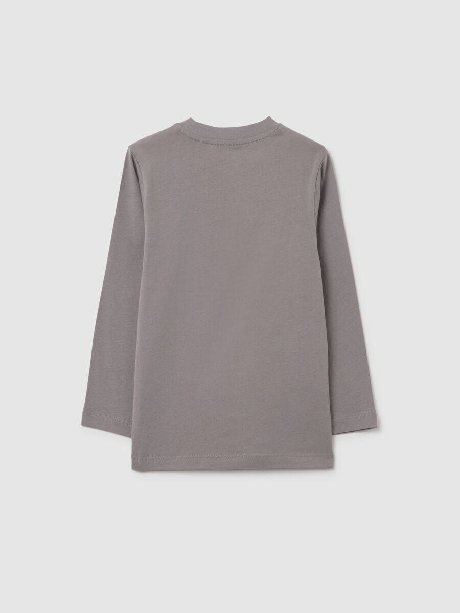 Grey regular fit cotton children's t-shirt with print_1