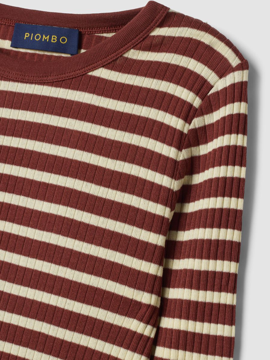 Brown striped pure cotton ribbed regular-fit T-shirt_5