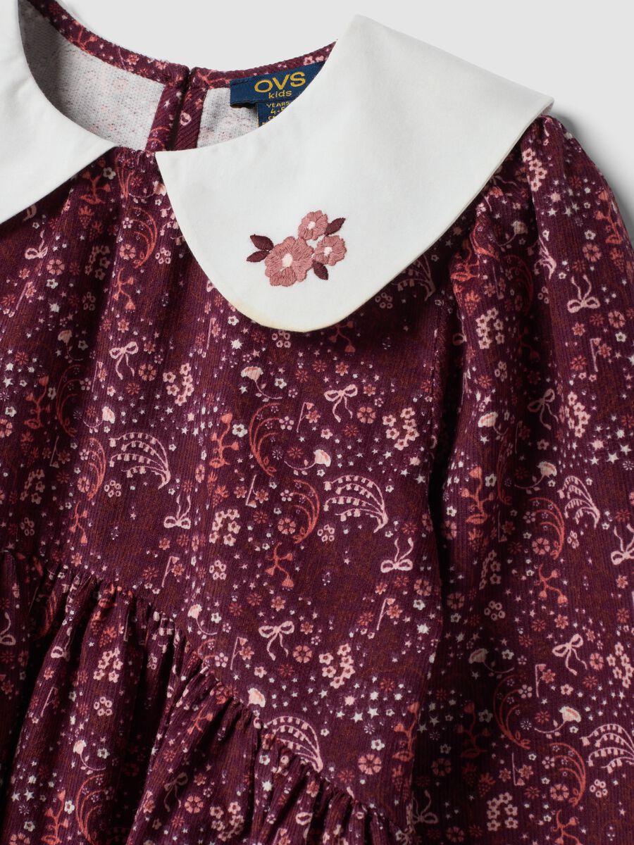 Burgundy red crew-neck pure cotton dress, regular fit_2