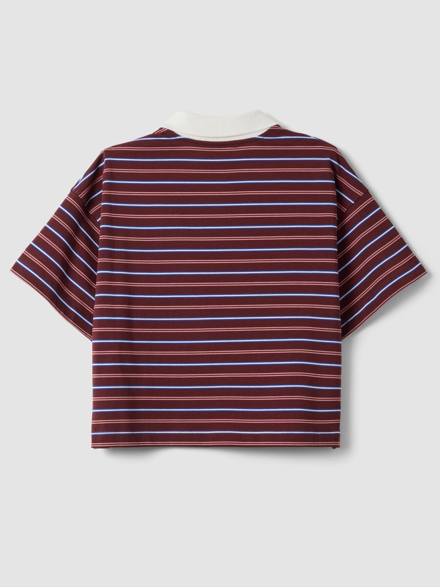 Multicolour striped pure cotton polo with oversized collar_6